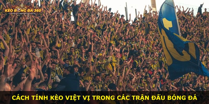 Cách tính Kèo Việt Vị trong các trận đấu bóng đá
